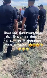 Трагедия на забеге: лошадь упала и скончалась у финиша